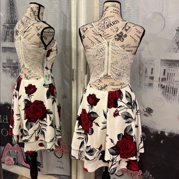 NWT Iris Red and White Rose Fit and Flare Mini Dress - Picture 4 of 9
